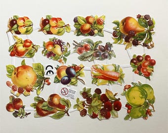 From Denmark Vintage Assorted Fruits Scraps Paper Die Cut SD09