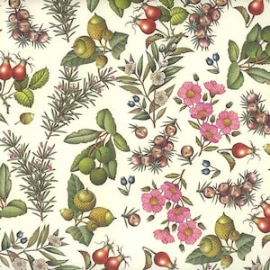 May include: A botanical pattern featuring detailed illustrations of various plants and fruits. The design includes acorns, rose hips, berries, and pink flowers, all set against a cream-colored background. The artwork has a vintage, hand-drawn aesthetic.