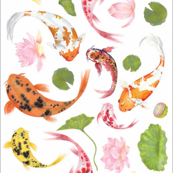 3 Sheets Self Adhesive Koi Carp Fish Stickers Colorful Scrapbooking Stickers Each Sheet 3-3/4" by 7-7/8"  STKC245