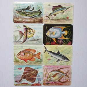 West Germany Vintage Fish Sea Life Lithographed Die Cut Paper Scraps Kruger K998