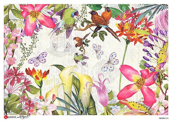 2 Sheets Italy Rice Paper Decoupage Butterflies Flowers Image RCP-FL-235 x2