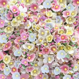 4 Bundles Forget Me Nots Flowers An Old Fashioned Favorite in Candy Mix