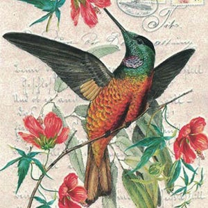 5 Germany Postcards Hummingbird And Flowers Five Matching German Cards  PK891