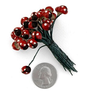 Pu&ograve; includere: Un mazzo di decorazioni in ceramica a forma di coccinella rossa e nera con pois bianchi. Le decorazioni sono attaccate a steli di filo verde e sono disposte a forma di bouquet. Una moneta da un euro italiana &egrave; inclusa per la scala.