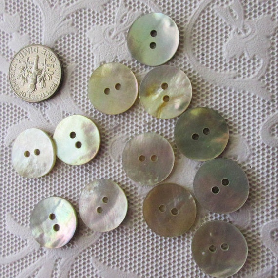 Shell buttons deals