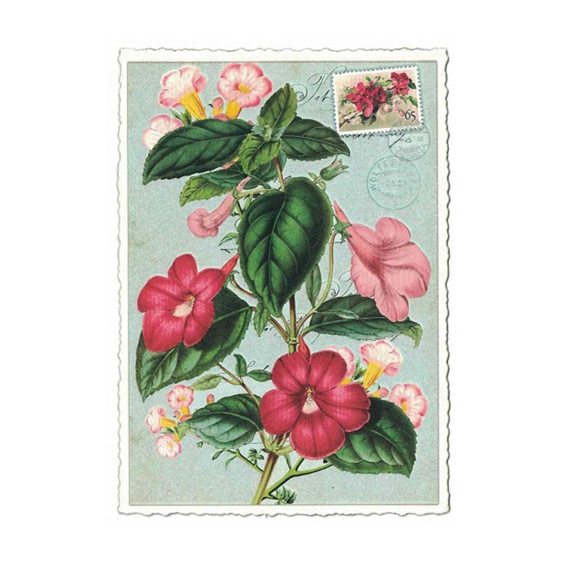 From Germany 5 Postcards Pink Flowers Five Matching Cards PK890 - Etsy