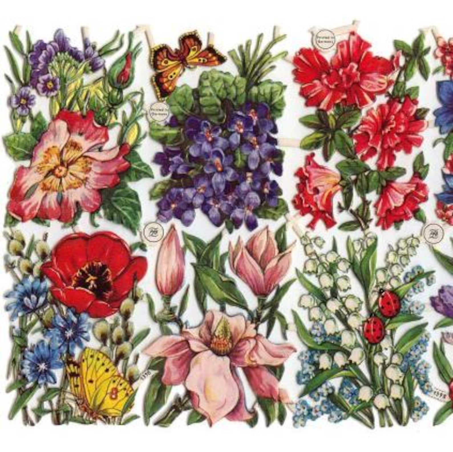 From Germany Vintage PZB Paper Scraps Die Cut Field Flowers 1398