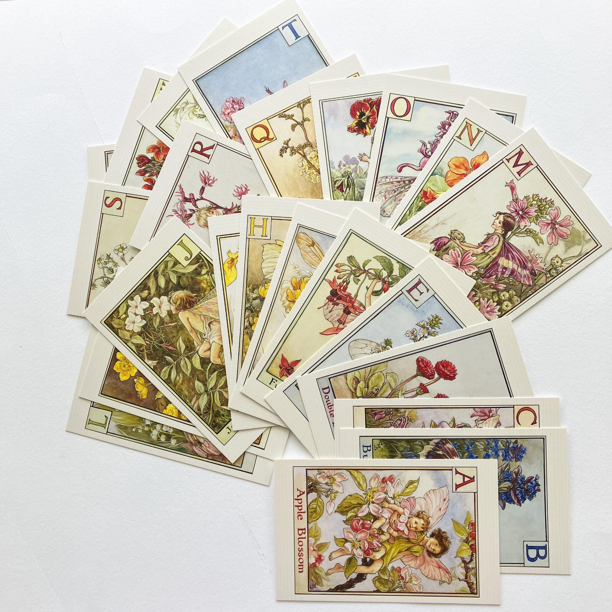 From England 24 Flower Fairy Alphabet Postcards Complete Set of