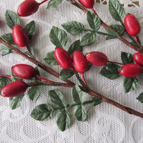 Austria 2 Branches Rose Hips 10" Long Two Sprays Millinery Wreath Making x2