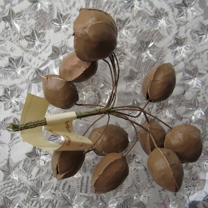 May include: A bunch of brown, artificial, chocolate-colored,  fruit-shaped ornaments on a wire stem. The ornaments are arranged in a cluster and are ready to be used in a craft project.