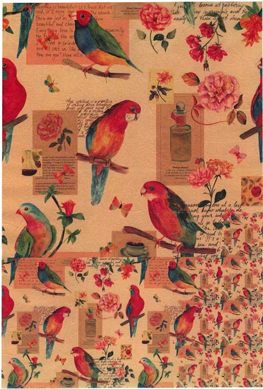 2 Sheets Italy Rice Paper Decoupage Birds and Flowers RCP-AN-68 X2 - Etsy