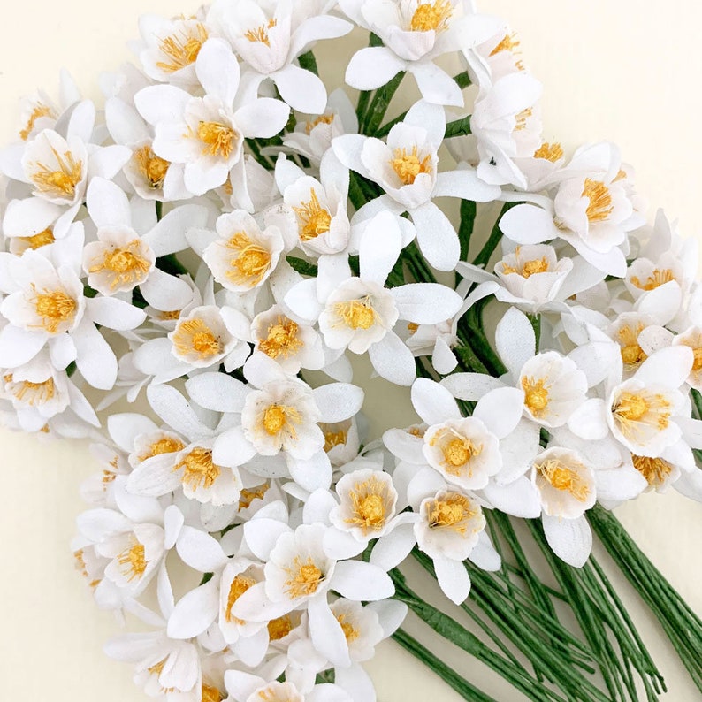May include: A bunch of white paper flowers with yellow centers. The flowers are arranged in a bouquet and have green stems.