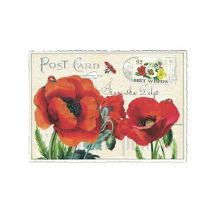 5 Germany Postcards Poppy Poppies Red Flowers Five Matching German Cards  PK667