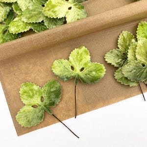 12 Czech Velvet Strawberry Leaves Millinery Embossed Shaded Light Green Leafs  NLC120-LG