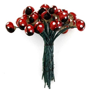 Pu&ograve; includere: Un mazzo di stecchi floreali a forma di coccinella rossa e nera con punti bianchi. Gli stecchi sono raggruppati con filo di ferro verde.