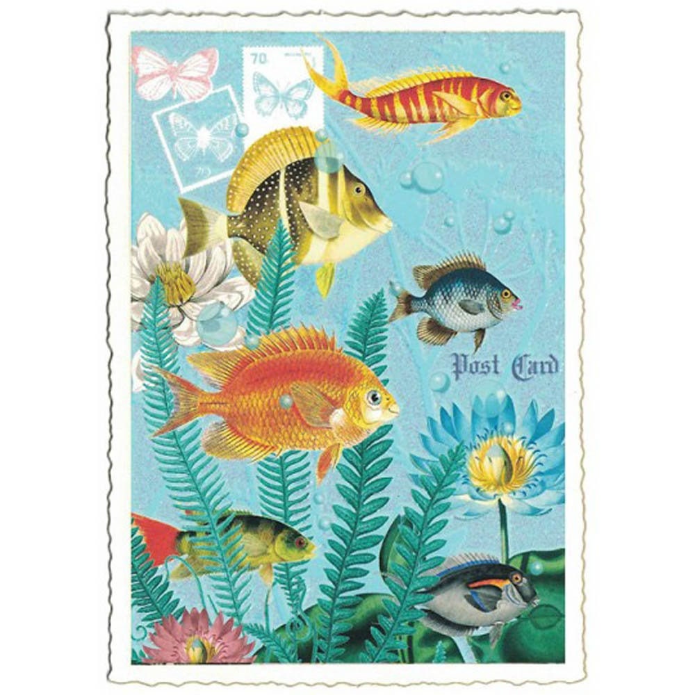 5 Germany Postcards Fish Five Matching German Cards Pk918 Etsy