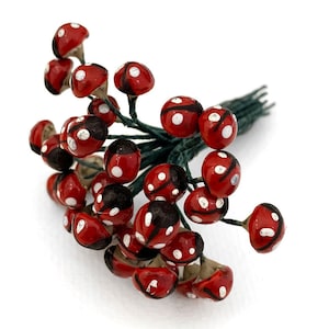 Pu&ograve; includere: Un mazzo di stecchi floreali a forma di coccinella rossa e nera con punti bianchi. Gli stecchi sono in plastica e hanno un gambo di filo metallico.