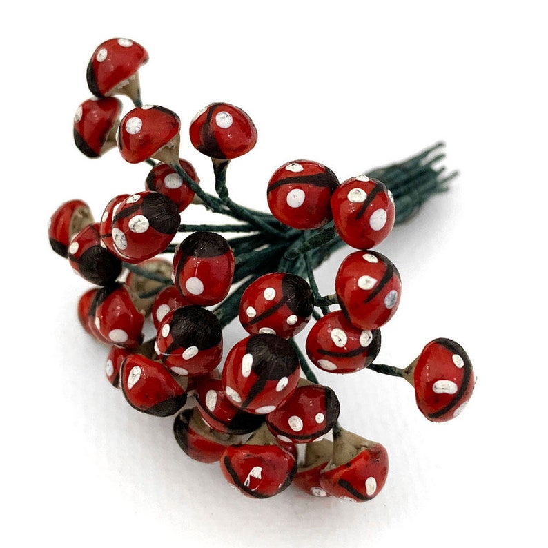 Pu&ograve; includere: Un mazzo di stecchi floreali a forma di coccinella rossa e nera con punti bianchi. Gli stecchi sono in plastica e hanno un gambo di filo metallico.