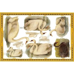 Vintage England White Swan Birds Die Cut Paper Scraps Out Of Print A132