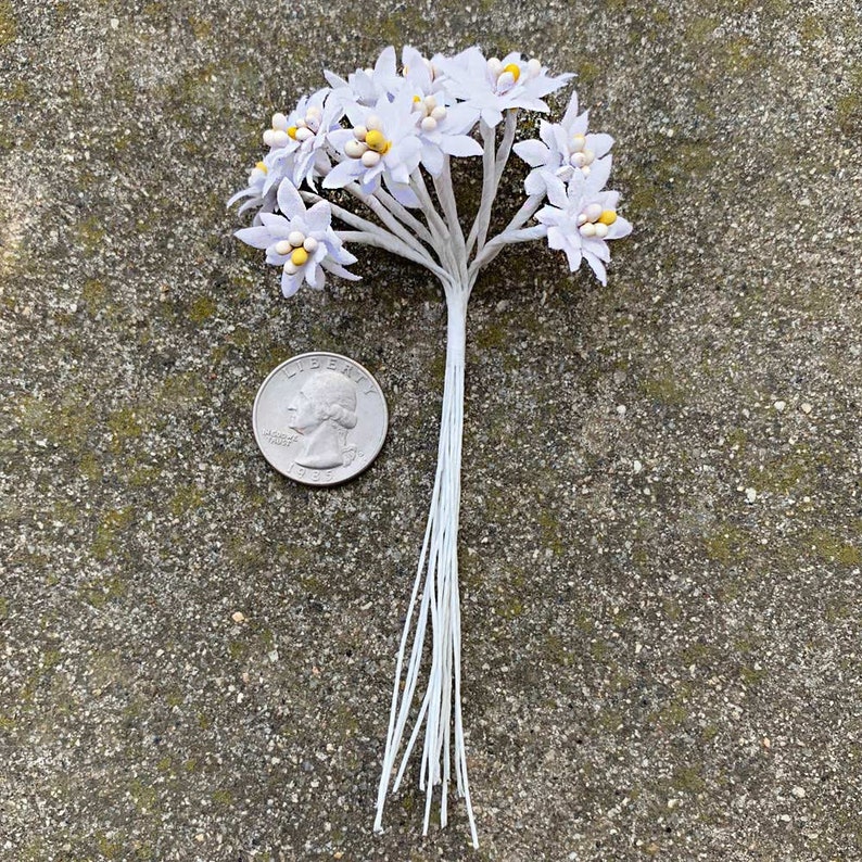 K&ouml;nnte beinhalten: Ein Bund kleiner, hellblauer Kunstblumen mit gelben Zentren und wei&szlig;en Stielen. Eine amerikanische M&uuml;nze liegt neben den Blumen zum Gr&ouml;&szlig;envergleich. Die Blumen sind zu einem Strau&szlig; angeordnet, geeignet f&uuml;r Bastelarbeiten oder Dekorationszwecke.