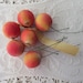 see more listings in the Vintage Fruit & Berries section