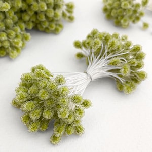 May include: A bundle of light green, beaded floral stems tied together with white thread. The small, round beads create a textured appearance. Several other bundles are visible in the background, suggesting a craft supply.