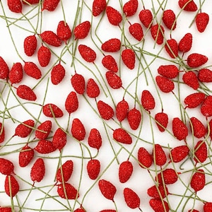 May include: A collection of red berry sprigs, scattered on a white background. The berries are small and round, with a slightly textured surface.