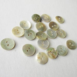 18 Tiny Shell Buttons 3/8&quot; Mother Of Pearl Nacre Doll Button G22