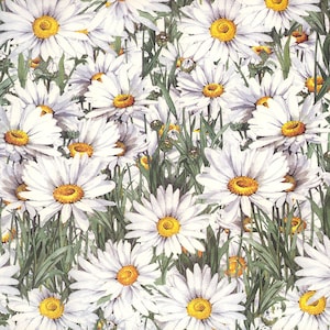 May include: A field of white daisies with yellow centers, blooming in a lush green meadow. The daisies are in various stages of bloom, creating a beautiful and natural scene.