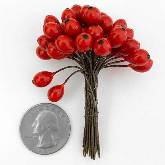36 Czech Millinery Berry Fruit Red Rose Hips Peps MNCZ-70 - Etsy