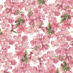 2 Sheets Pink Cherry Blossoms Floral Print Italian Paper ~ Tassotti Italy IPT660 x2