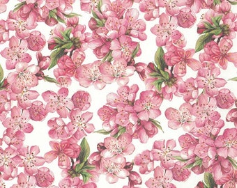 From Italy 2 Sheets Pink Cherry Blossoms Floral Print Italian Paper ~ Tassotti IPT660 x2