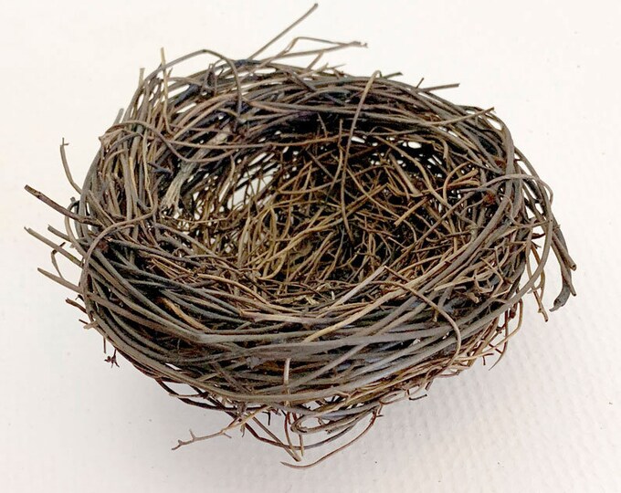 2 Czech Twig Birds Nests Handmade Woodland Bird Egg Nest Easter Spring
