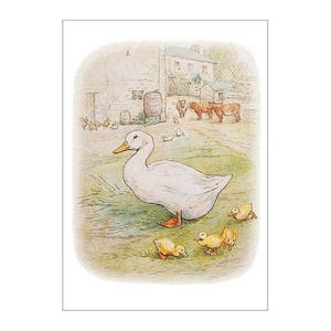 May include: A white duck with a yellow beak and orange feet is walking in a grassy field.  There are five yellow ducklings following behind the mother duck.