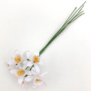 May include: A bunch of white paper flowers with yellow centers. The flowers are attached to green stems.