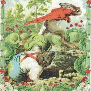 May include: A whimsical illustration of a hedgehog wearing overalls and a red and white striped shirt, looking up at a rabbit wearing a red coat and running through a garden with green cabbage plants and red flowers.