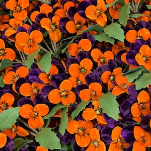 Czech Millinery Flowers Small Velvet Pansies Pansy Flower ~ Orange And Purple NFC033DKPO