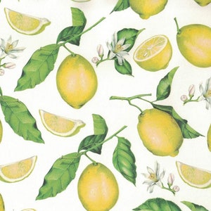 2 Sheets Bright Yellow Lemons Italian Paper ~ Tassotti Italy IPT689 x2