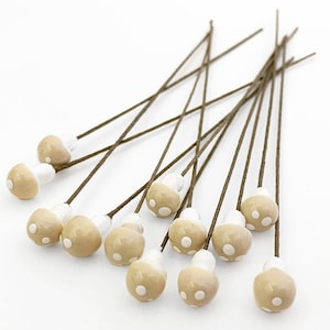 May include: A set of 12 beige mushroom-shaped embellishments with white polka dots, each attached to a brown wire stem.