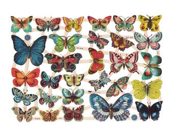 May include: A collection of 25 colourful butterfly illustrations with intricate details. The butterflies are arranged in a grid pattern on a white background. Each butterfly has a unique design and colour scheme.