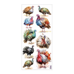 3 Sheets Self Adhesive Thanksgiving Turkey Stickers Colorful Scrapbooking Stickers Each Sheet 3-3/4" by 7-7/8" STKC267