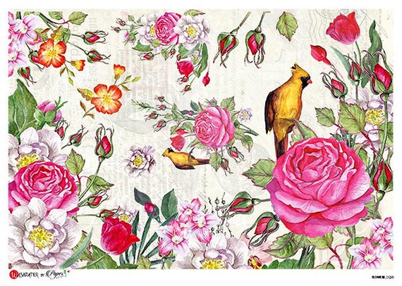 2 Sheets Italy Rice Paper Decoupage Large Bird And Roses RCP-FL-238 x2