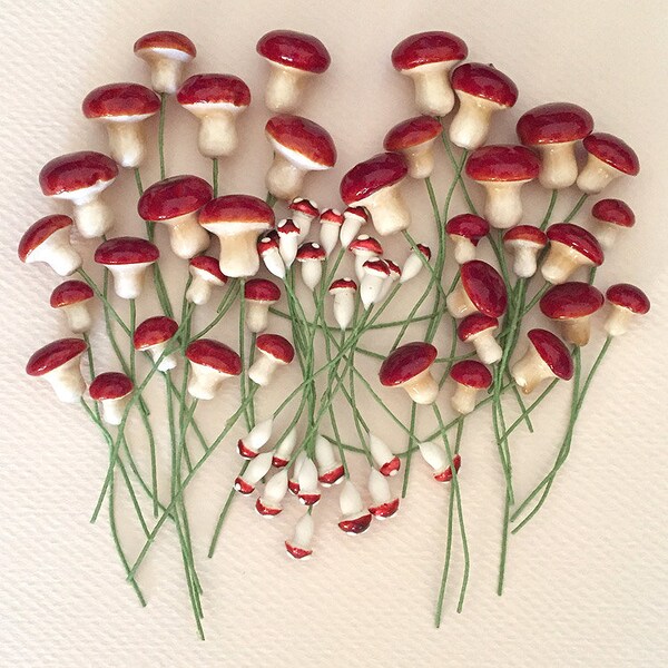 Germany 48 Spun Cotton Woodland Brown Lacquered Mushrooms And Composition Stamen Forest Mix MUX-02