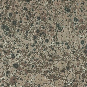 2 Sheets Brown Marbeled Pebble Italian Print Paper with Golden Highlights ~ Carta Fiorentina Italy IPF051 x2