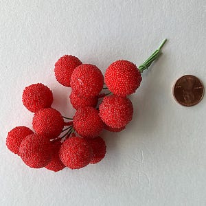 May include: A cluster of bright red, textured berry-like ornaments with green stems. A penny is next to the berries for size comparison. The berries have a bumpy surface and are arranged in a bunch, suggesting they are for decorative use.