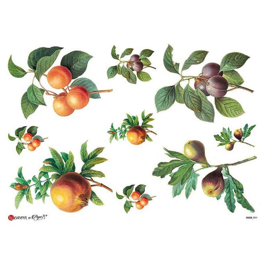 From Italy 2 Sheets Italian Rice Paper Decoupage Stone Fruits RCP-FD-31 ...