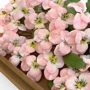 Czech Velvet Spray of Small Millinery Pansies Pansy Pale Pink With Yellow NFC033PAS