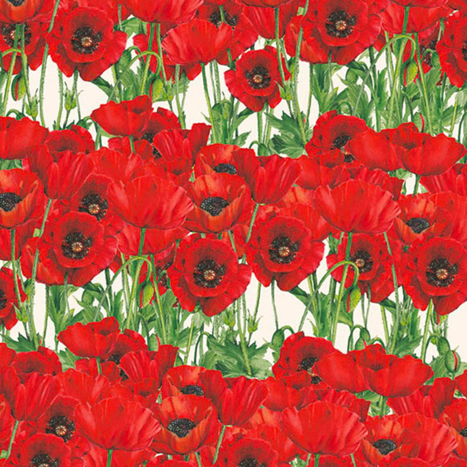 From Italy 2 Sheets Red Poppy Print Italian Paper ~ Tassotti IPT739 X2 ...