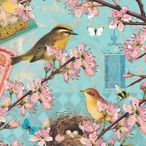 D'Allemagne 5 cartes postales Oiseaux gigognes Cinq cartes allemandes assorties PK373