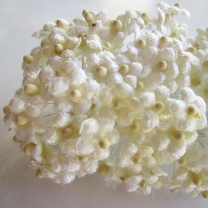 24 Austria Velvet Forget Me Nots Millinery Off White Flowers A99IV x2